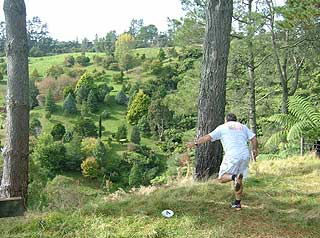 Disc Golf New Zealand